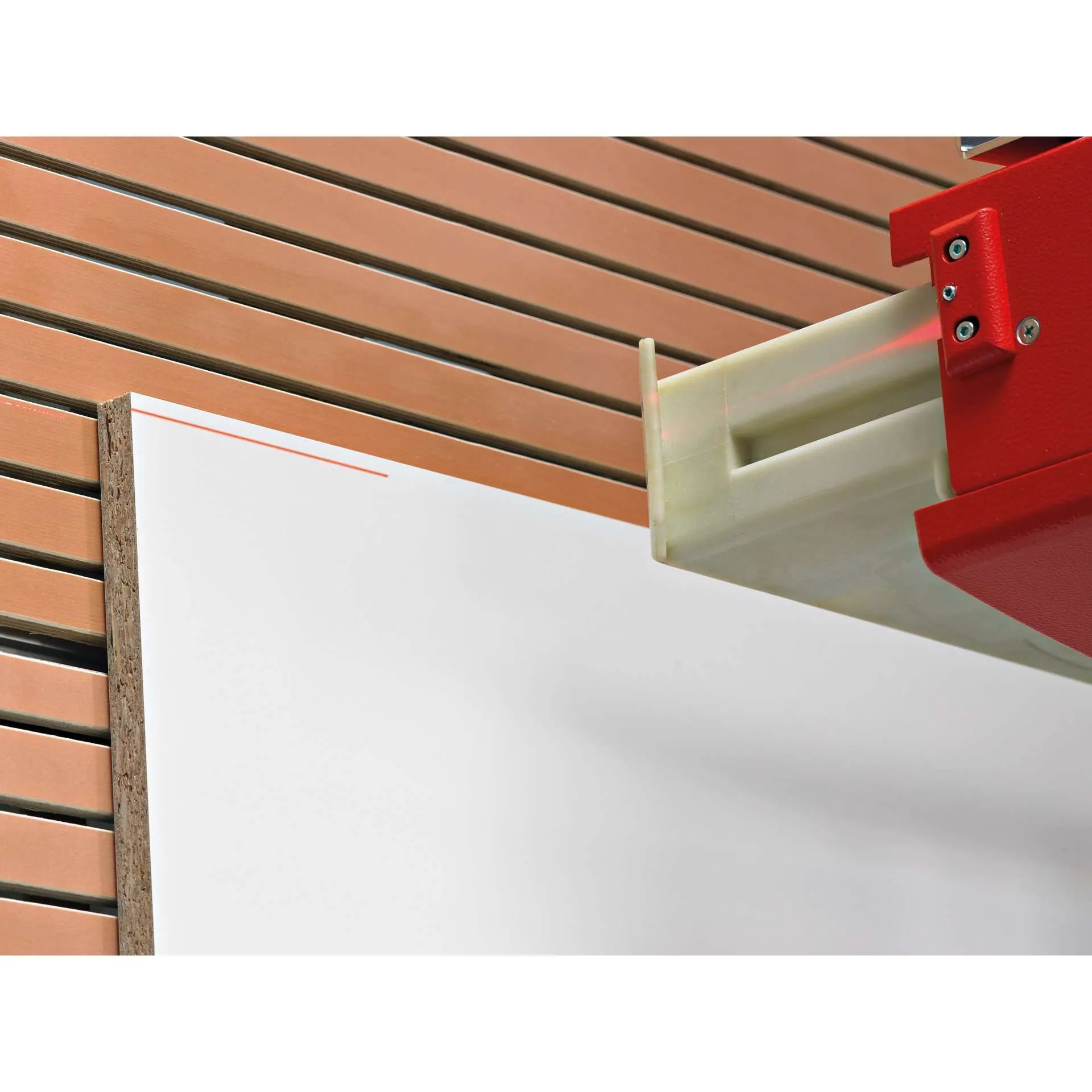 Striebig Standard S Vertical Panel Saw